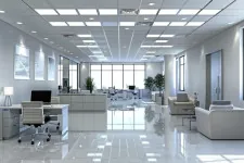 Commercial renovation business for sale in New Zealand